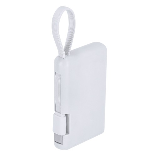 Power Bank Brandin